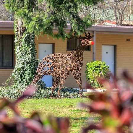 Hamilton Hume Motor Inn Yass Exterior photo